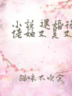 小说 退婚后大佬她又美又飒
