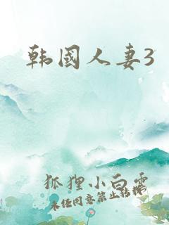 韩国人妻3