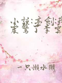 小说:亮剑:我震惊了李云龙