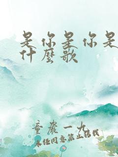 是你是你是你是什么歌