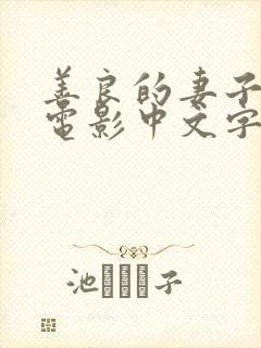 善良的妻子韩国电影中文字幕