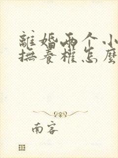 离婚两个小孩的抚养权怎么判