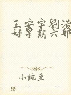 王安宇刘浩存你好星期六那一期