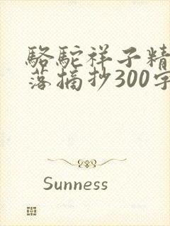 骆驼祥子精彩段落摘抄300字