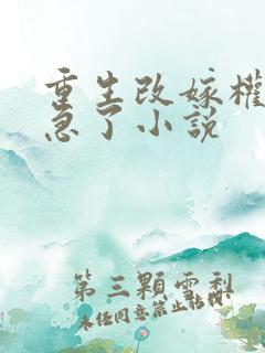 重生改嫁权臣他急了小说
