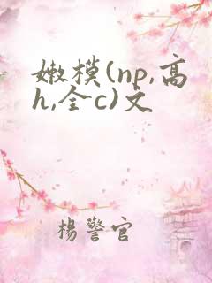 嫩模(np,高h,全c)文