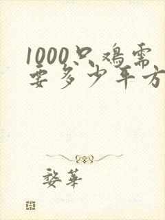 1000只鸡需要多少平方