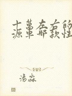 十万左右的新能源车哪款性价比高