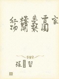 红楼梦贾家的人物关系图