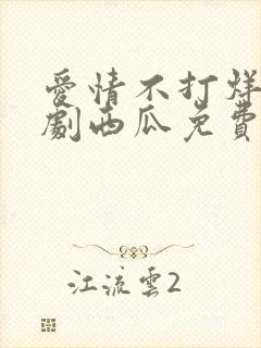 爱情不打烊电视剧西瓜免费观看