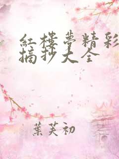 红楼梦精彩语段摘抄大全