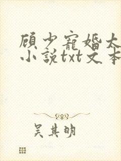 顾少宠婚太强势小说txt文本下载
