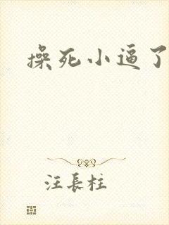 操死小逼了