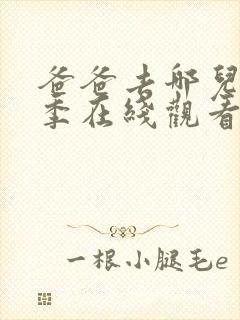 爸爸去哪儿第五季在线观看完整版