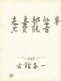 夫妻那些事高清免费观看