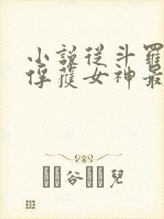 小说从斗罗开始俘获女神最新章节