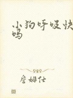 小狗呼吸快正常吗
