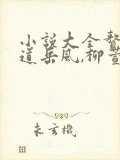 小说大全赘婿当道岳风,柳萱