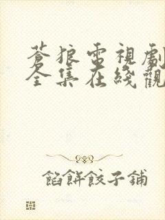 苍狼电视剧免费全集在线观看高清