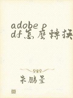 adobe pdf怎么转换成word