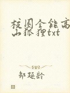 校园全能高手安山狐狸txt