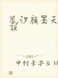 凤汐颜墨天问小说