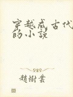 穿越成古代王爷的小说