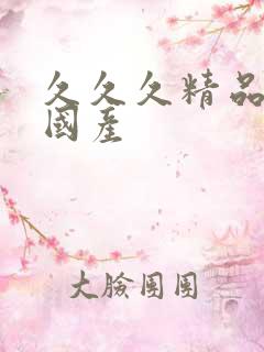 久久久精品日韩国产