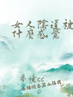 女人阴道被插入什么感觉