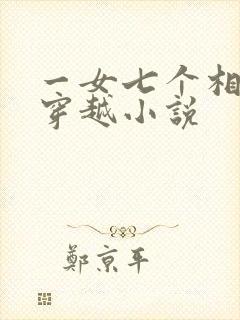 一女七个相公的穿越小说