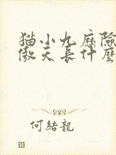 猫小九历险记龙傲天长什么样