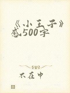 《小王子》读后感500字