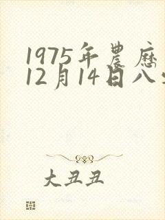 1975年农历12月14日八字算命
