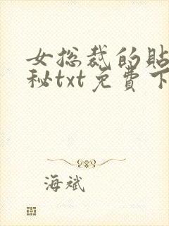 女总裁的贴身男秘txt免费下载