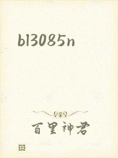 bl3085n