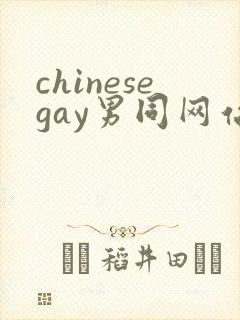 chinesegay男同网站