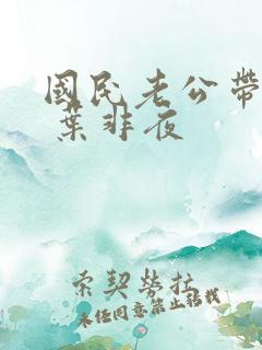 国民老公带回家 叶非夜