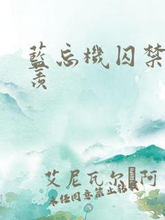 蓝忘机囚禁魏无羡