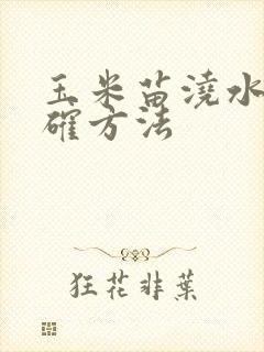 玉米苗浇水的正确方法