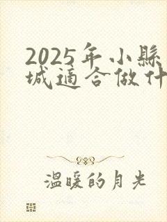 2025年小县城适合做什么生意赚钱呢
