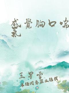 感觉胸口喘不上气