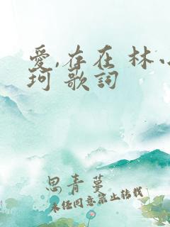 爱,存在 林小珂 歌词