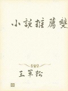 小说推荐双男主