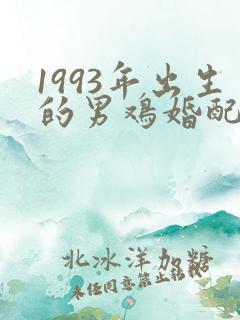 1993年出生的男鸡婚配