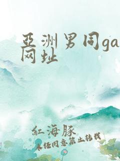 亚洲男同gay网址