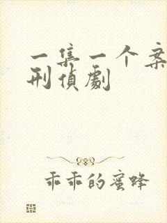 一集一个案子的刑侦剧