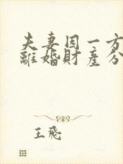 夫妻因一方出轨离婚财产分割
