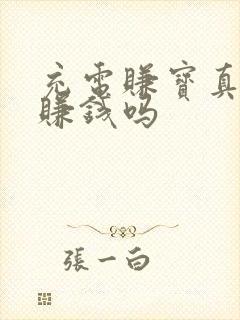 充电赚宝真的能赚钱吗