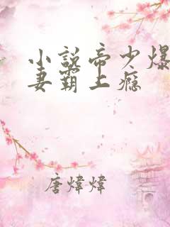 小说帝少爆宠娇妻霸上瘾