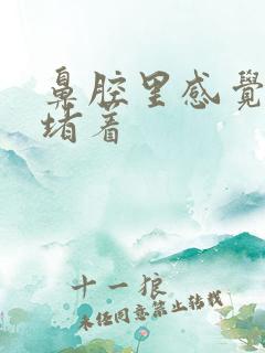 鼻腔里感觉有痰堵着